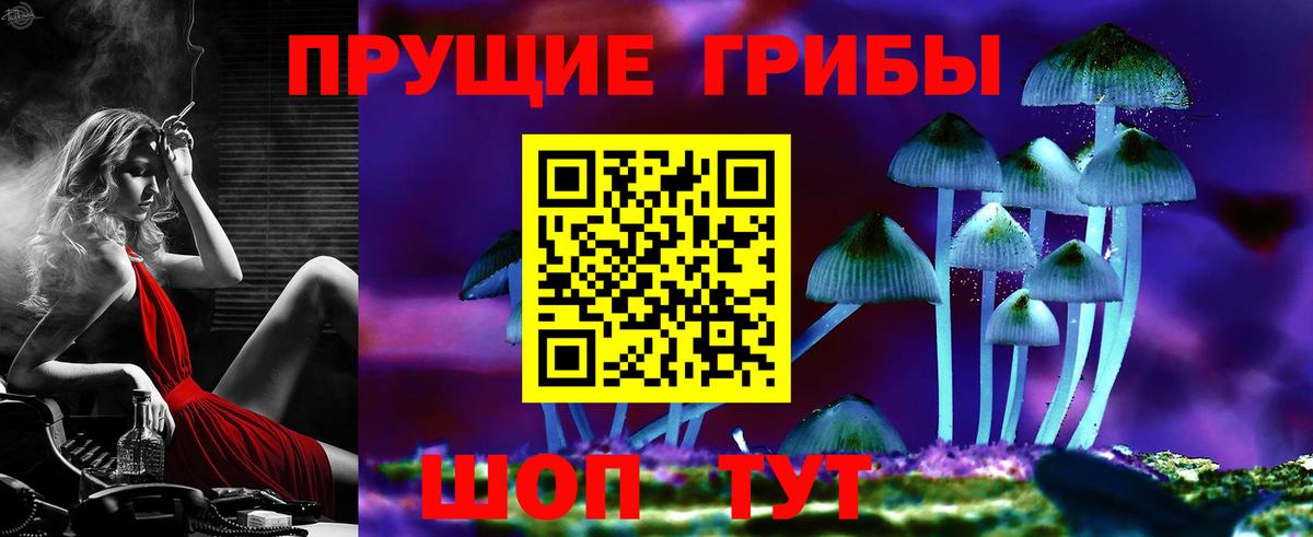 магазин продажи   Галлюциногенные грибы Cubensis  Вход с VPN  Зеленокумск 